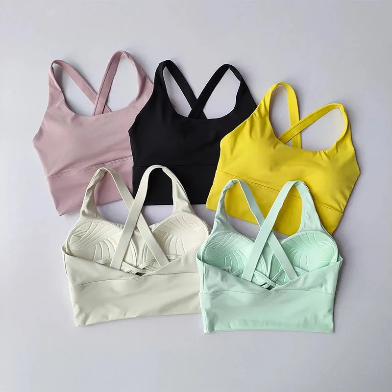 All-in-one Sports Bra Collection Breast High-intensity Professional Shock-proof Huddle Running Bra Yoga Fitness Bra