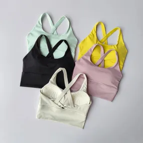 All-in-one Sports Bra Collection Breast High-intensity Professional Shock-proof Huddle Running Bra Yoga Fitness Bra