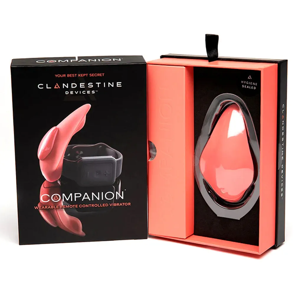 Clandestine Devices Companion Remote Control Lay-On Panty Vibrator