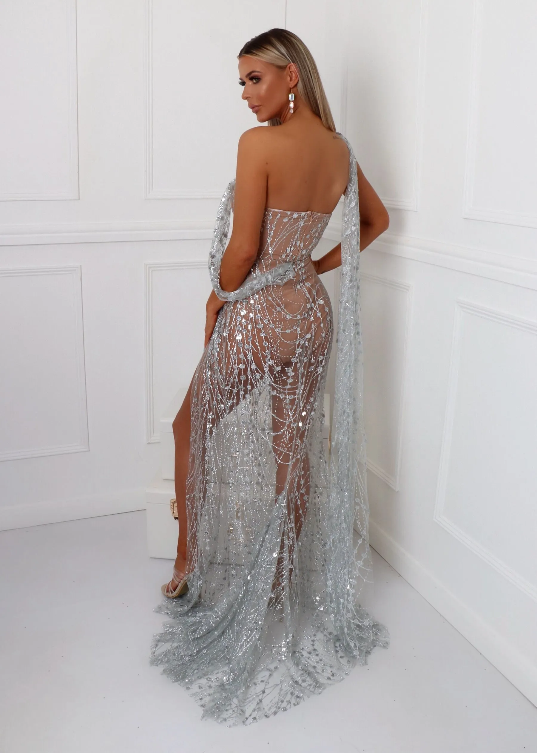 Diamond Nights Glitter Mesh Maxi Dress - Silver