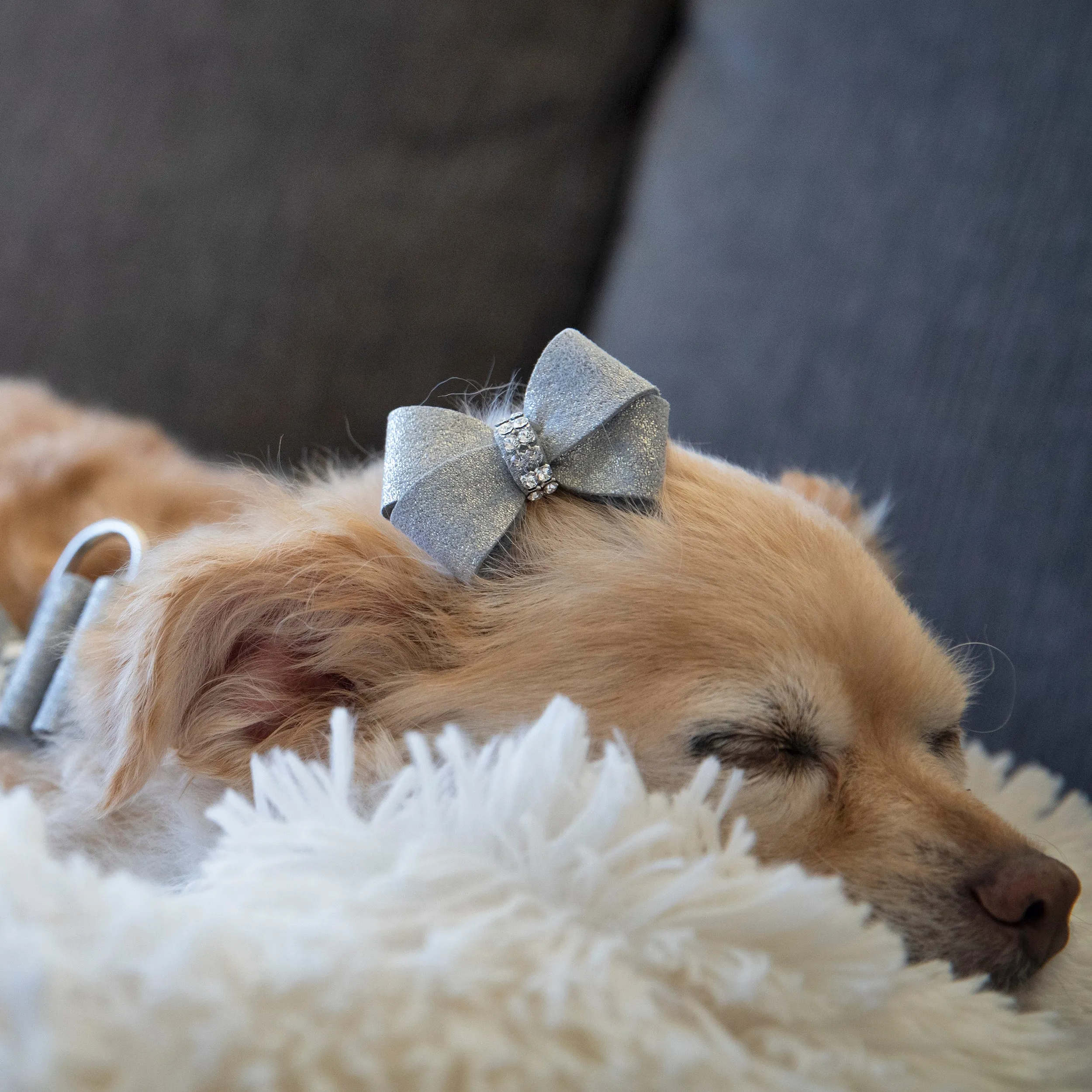 Glitzerati Nouveau Bow Hair Bow