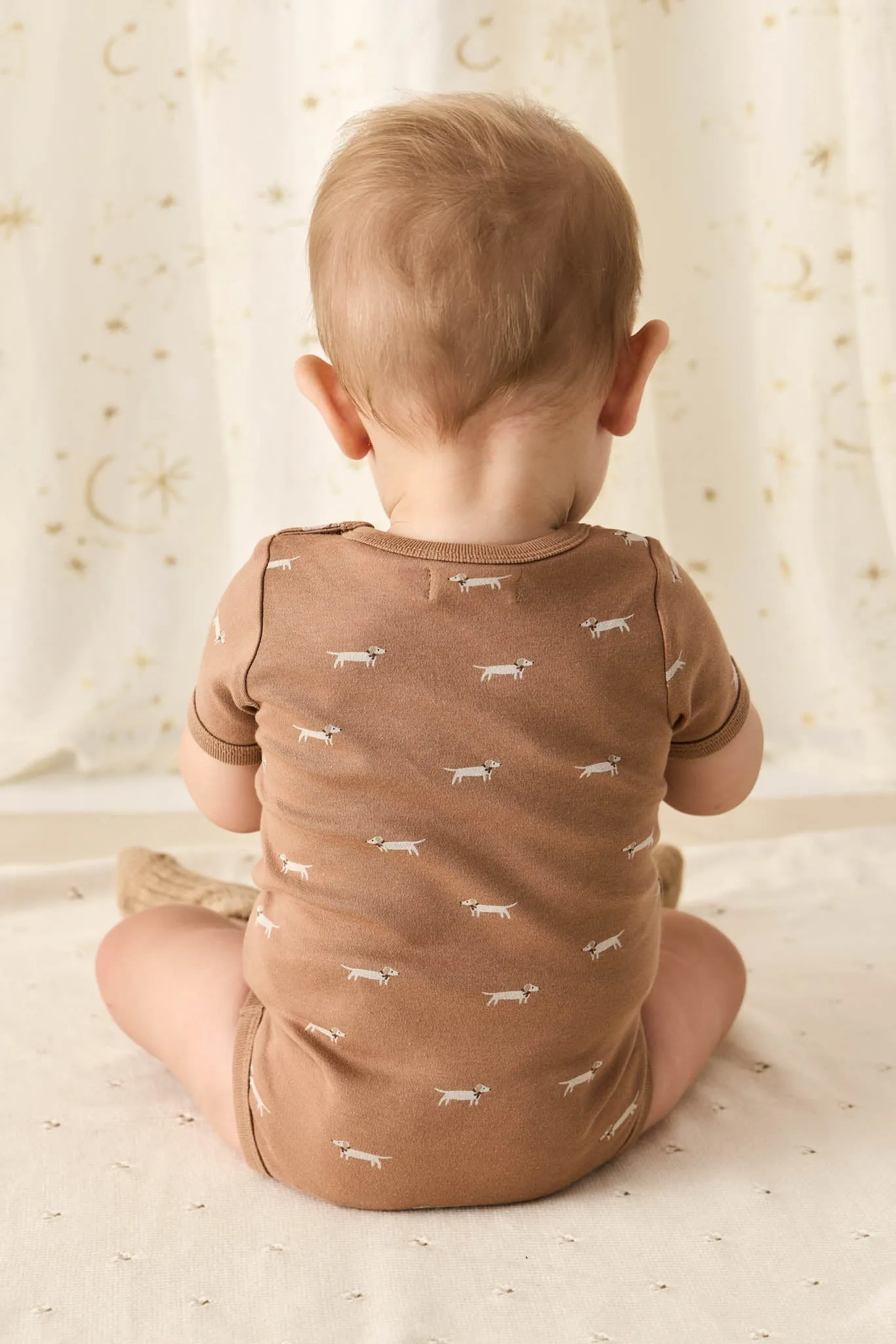 Organic Cotton Hudson Short Sleeve Bodysuit - Cosy Basil Spiced