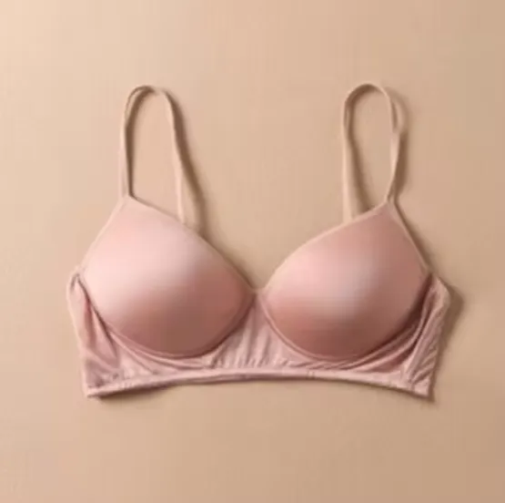 Pure Silk bra Women Fashion lady Wireless seamless padded bras for women push up bralette bralet bralett Female Everyday