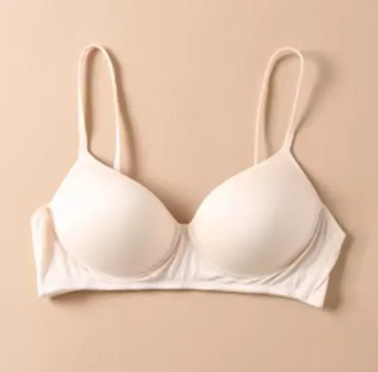 Pure Silk bra Women Fashion lady Wireless seamless padded bras for women push up bralette bralet bralett Female Everyday