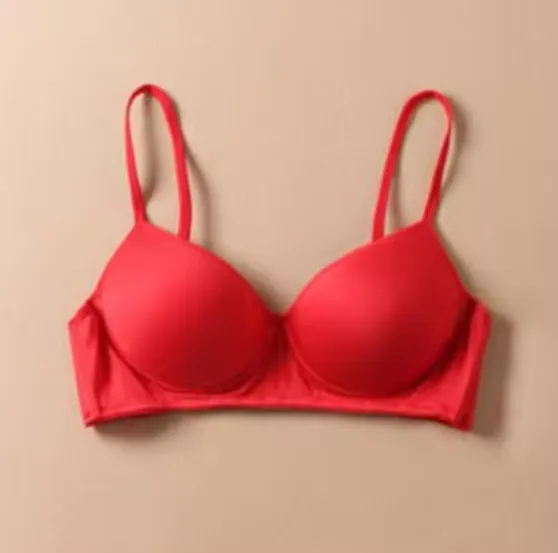 Pure Silk bra Women Fashion lady Wireless seamless padded bras for women push up bralette bralet bralett Female Everyday