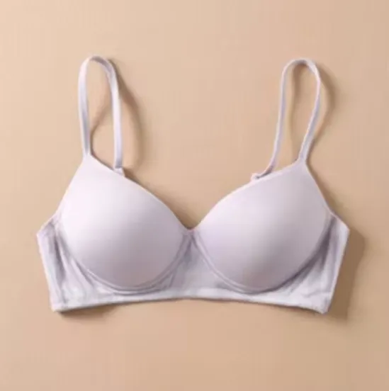 Pure Silk bra Women Fashion lady Wireless seamless padded bras for women push up bralette bralet bralett Female Everyday