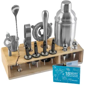 Stainless Steel Cocktail Shaker Set with Stand - 17-Piece Mixology